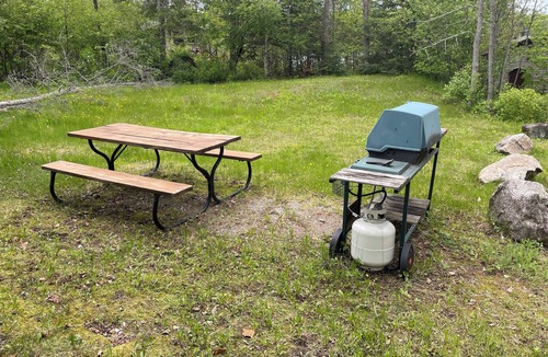Ely Cabin | Cabin 6 "Osprey" 3 BR, 6 pp, lake view, access to boats!