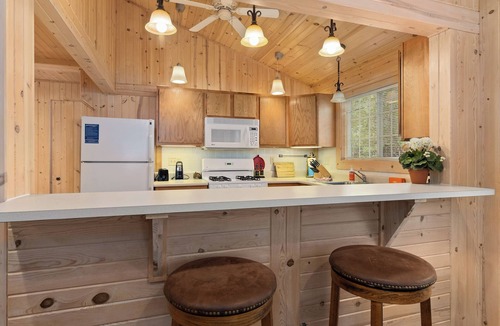 Sayner Cabin | Cabin with Lake Access, AC, Fireplace, Firepit