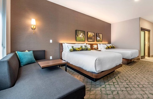 Downtown Louisville Hotel | Cambria Hotel Louisville Downtown-Whiskey Row