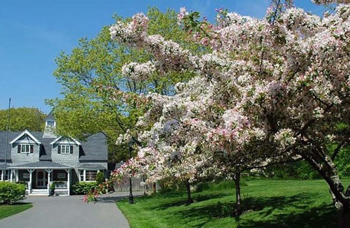 Kennebunkport Hotel | Cape Arundel Inn - Club House