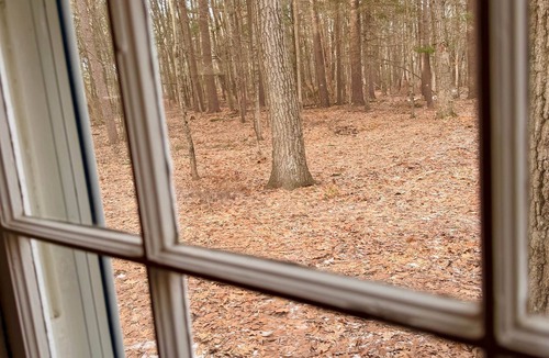 Portage House | Carpenter’s Cottage-Cozy Historic Retreat on 72 Acres+ Water