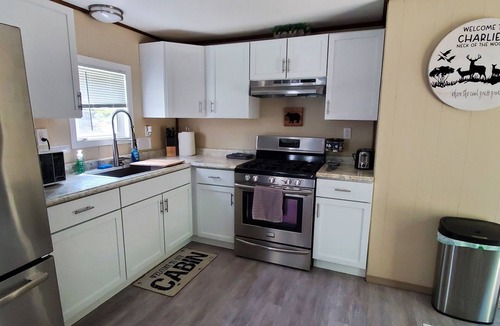Lyndon Station Cabin | Charlie's Woodside Getaway-4 miles from the Dells!