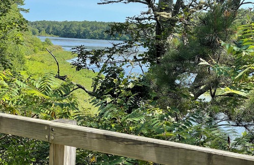 Northwest Harwich House | Charming 1bd, 1ba Cape Cod Cottage on the Rail Trail with an outdoor shower.