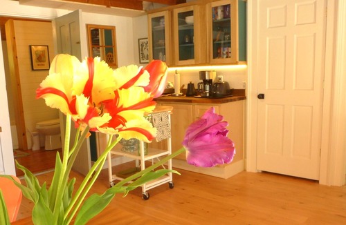 Sedgwick House | Charming cottage on quiet side road in Sedgwick