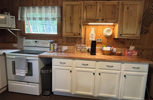 Wolverine Cottage | Classic Cozy Cottage centrally located for your winter explorations!