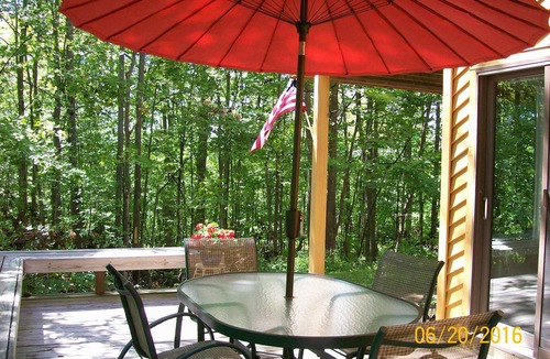 Harbor Springs Condo | Clean and Cozy, Beautiful, well kept Trout Creek Condominium Unit 79 Building 11