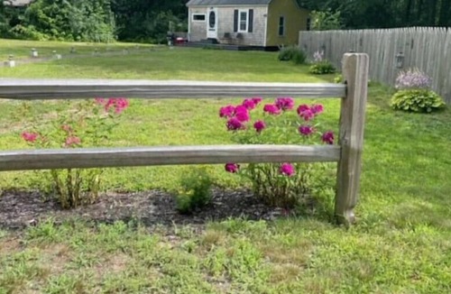 Southern Coast Cottage | Close Enough - Beach Cottage