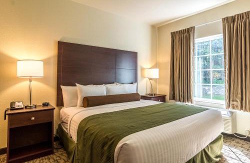 Greenville Hotel | Cobblestone Hotel & Suites - Greenville