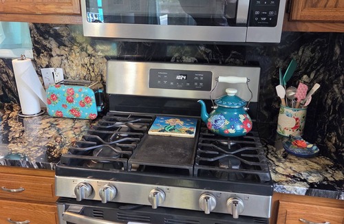Chippewa Lake House | Come and play at pet friendly Chippewahoo!