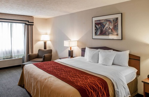 Indianapolis Hotel | Comfort Inn Indianapolis South I-65