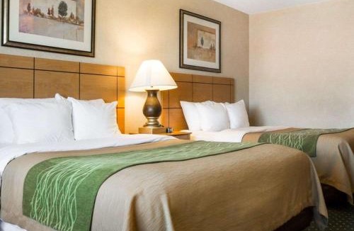 Jamestown Hotel | Comfort Inn Jamestown South
