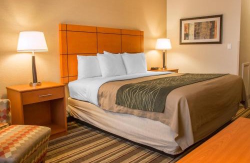 Romulus Hotel | Comfort Inn Metro Airport