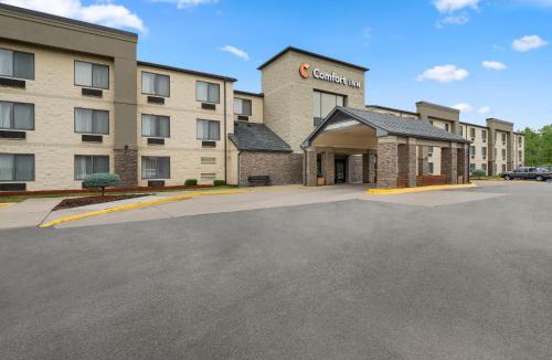 Romulus Hotel | Comfort Inn Metro Airport