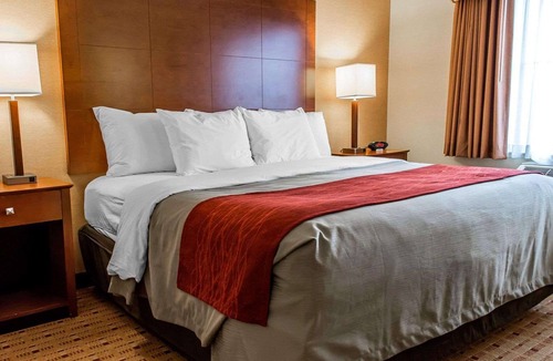 Franklin Hotel | Comfort Inn & Suites Franklin East