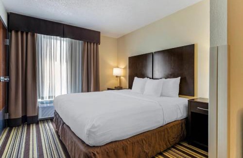 Triadelphia Hotel | Comfort Inn & Suites Triadelphia - Wheeling