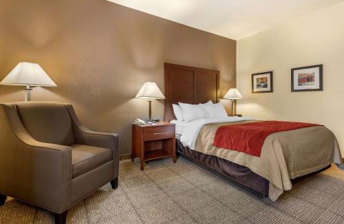 Warren Hotel | Comfort Inn Warren I-69