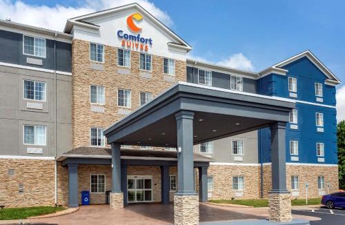 Clarksville Hotel | Comfort Suites Clarksville near Governors Square Mall