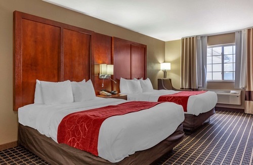 Delavan Hotel | Comfort Suites Delavan - Lake Geneva Area