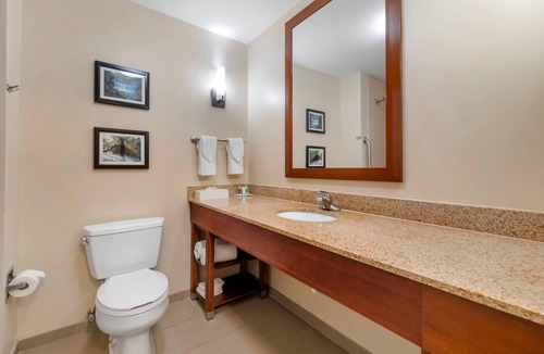 Elizabethtown Hotel | Comfort Suites Elizabethtown