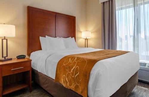 Oshkosh Hotel | Comfort Suites Oshkosh West