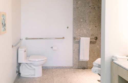 Gainesville Hotel | Comfortable King ADA Room near UF Campus