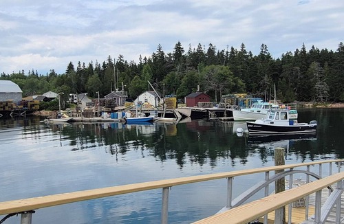 Birch Harbor Cottage | Coming Summer of 2027! Cozy 1 bedroom cottage on overlooking Bunker's Harbor!