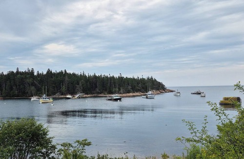 Birch Harbor Cottage | Coming Summer of 2027! Cozy 1 bedroom cottage on overlooking Bunker's Harbor!