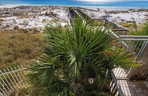 Seagrove Beach Condo | Commodore's Retreat