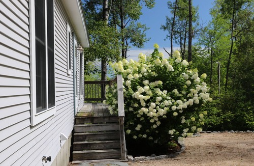 Surry House | Coveside - 3 bed 2 bath Oceanview in Surry, Maine near Acadia Natl Park