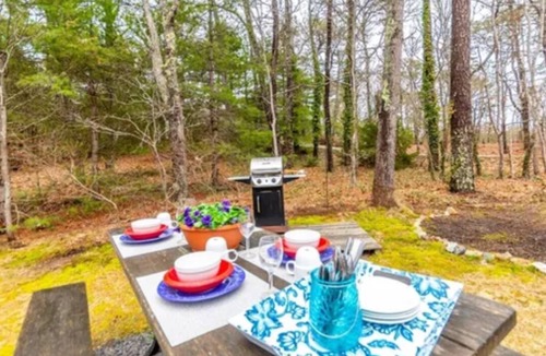 Orleans Cottage | Cozy 1 bedroom cottage in beautiful Orleans with AC. A perfect spot to get away.