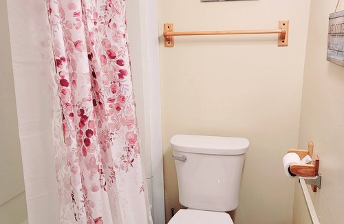 Lansing Apartment | Cozy Apt downtown Lansing next to Lugnuts Stadium