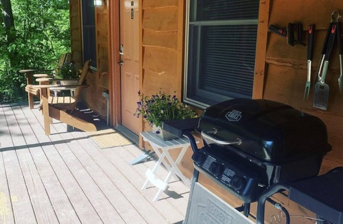 Wellston Cabin | Cozy Cabin In The Heart of Manistee National Forest #1