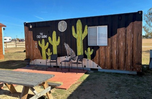 Silverton Cabin | Cozy Catcus Container Cabin in Silverton Texas