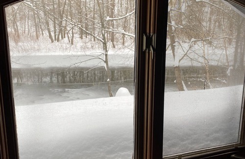 Nisbet House | Cozy Cottage on Lycoming Creek