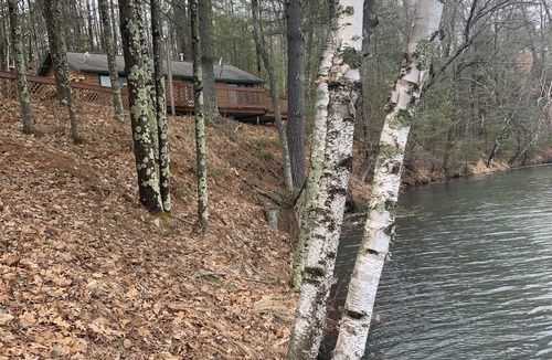 Lake Tomahawk Cabin | Cozy Lakefront Cabin Getaway - Enjoy Eagle Viewing, Fishing and Kayaking