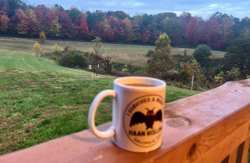 Kerr Apartment | Cozy log Cabin Retreat on 12 Acres, Gazebo, Fire Pit & Starlink WiFi
