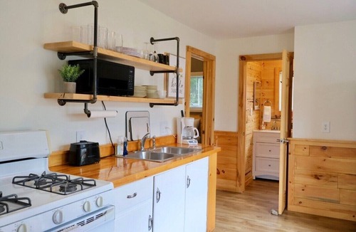 Indian River Cabin | Cozy Waterfront Retreat | Steps from Indian River