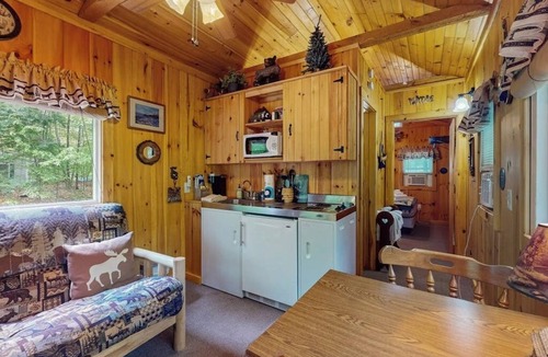 Naples Cabin | Cozy wooded cabin with lake access, firepit & kitchenette