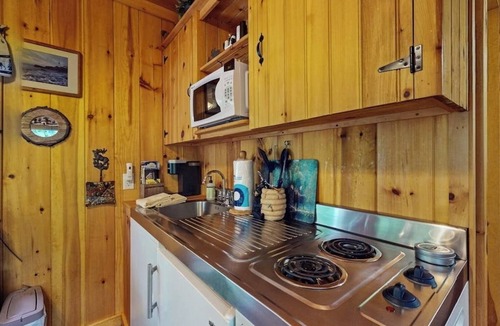Naples Cabin | Cozy wooded cabin with lake access, firepit & kitchenette