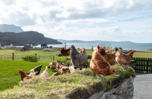 Ullapool Bed & Breakfast | Croft Cottage