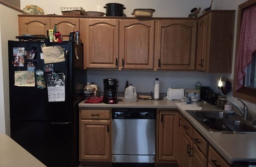 Grand Rapids House | Crystal Clear Beautiful Deer Lake 5 Bdrm Gorgeous Northwoods Cabin Finnish Sauna