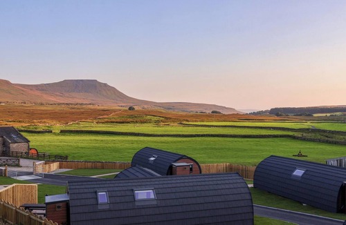 Yockenthwaite Cottage | Curlew