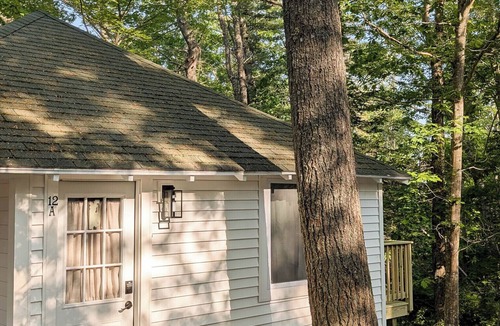 Bar Harbor Cabin | Cute Cabin Nested in Pine Trees Cabin 12A