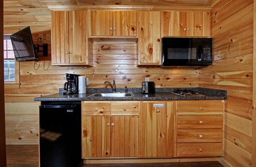 Spring Mills Cabin | Deluxe Cabin 63 w/4 Beds