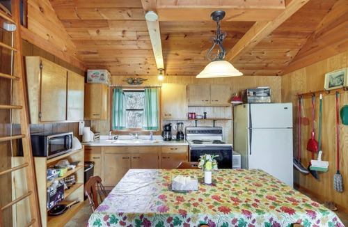 Puposky Cabin | Dock & Fire Pit! Lake Campbell Basecamp