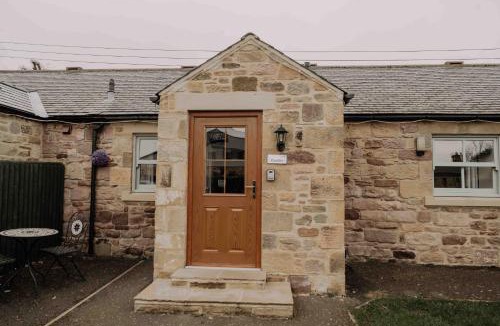 Belford House | Dunlin