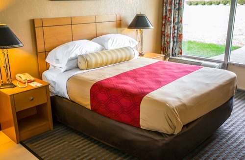 Joliet Hotel | Econo Lodge Shorewood