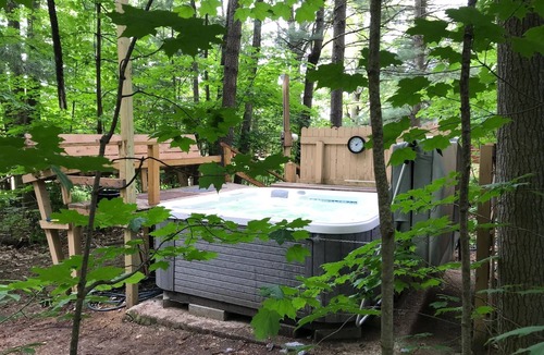 Grawn Cabin | Ellis Lake Resort - Willow Suite- Interlochen/Traverse City