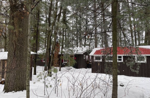 Siren Cabin | Escape to the perfect winter wonderland. picturesque cabin in towering pines.