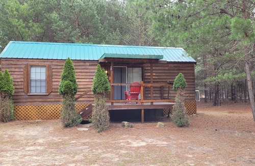 Thompsonville Cabin | Evergreen Cottage near Crystal Mtn